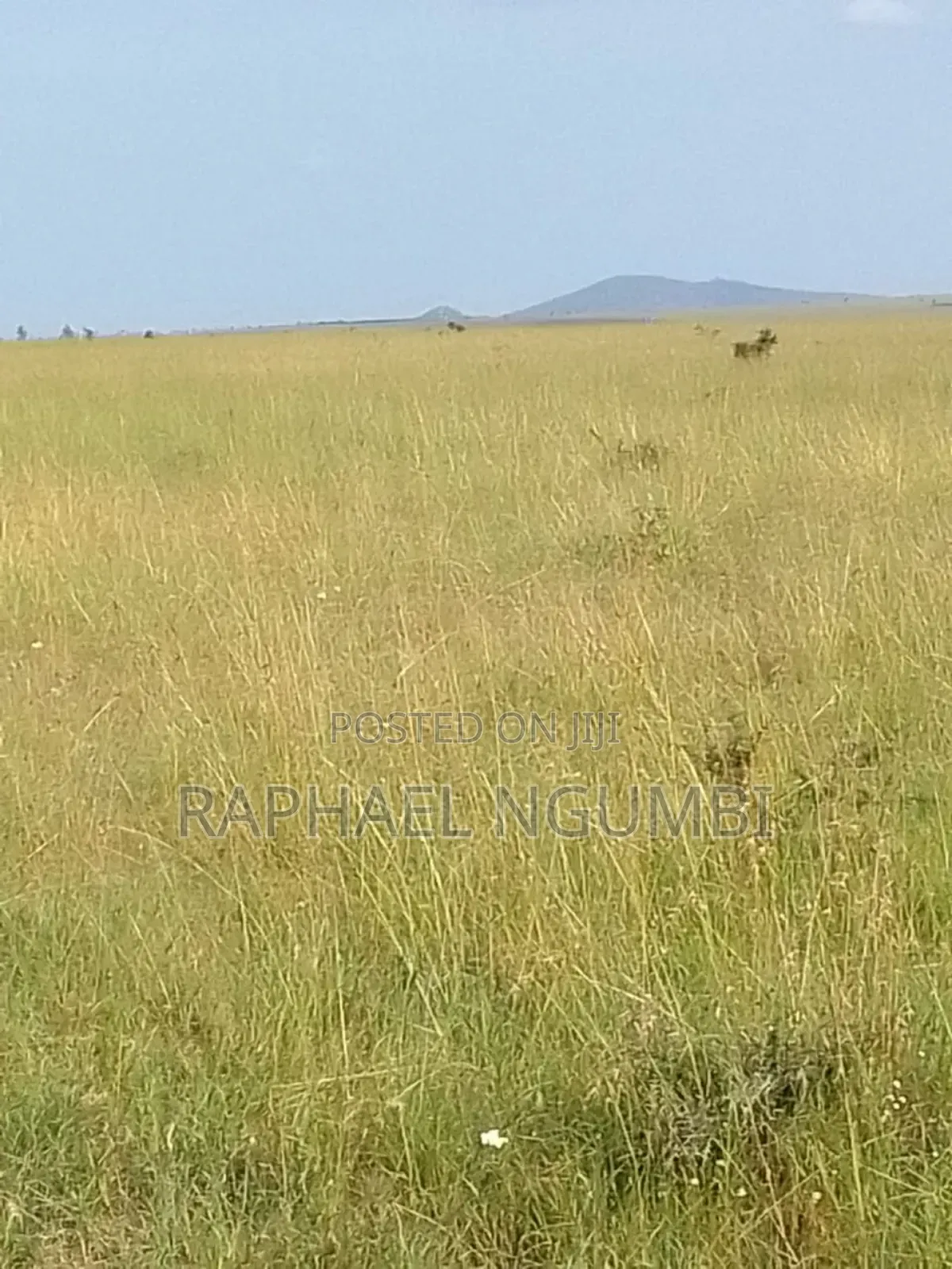 100 Acres at Daystar University
