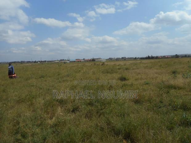 100 Acres at Daystar University - thumbnail 4