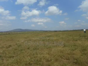 100 Acres at Daystar University