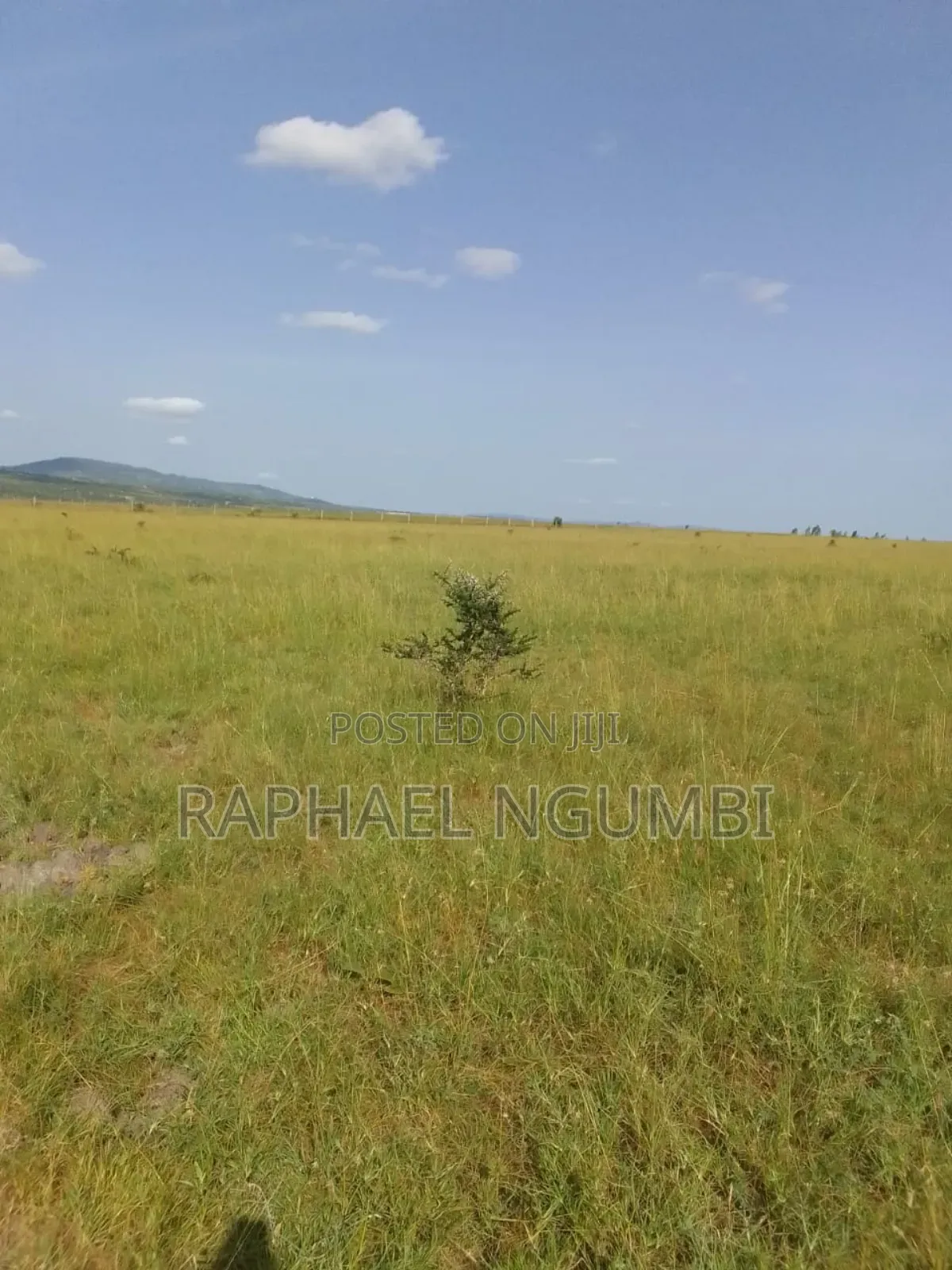 100 Acres at Daystar University