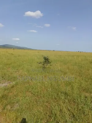 100 Acres at Daystar University