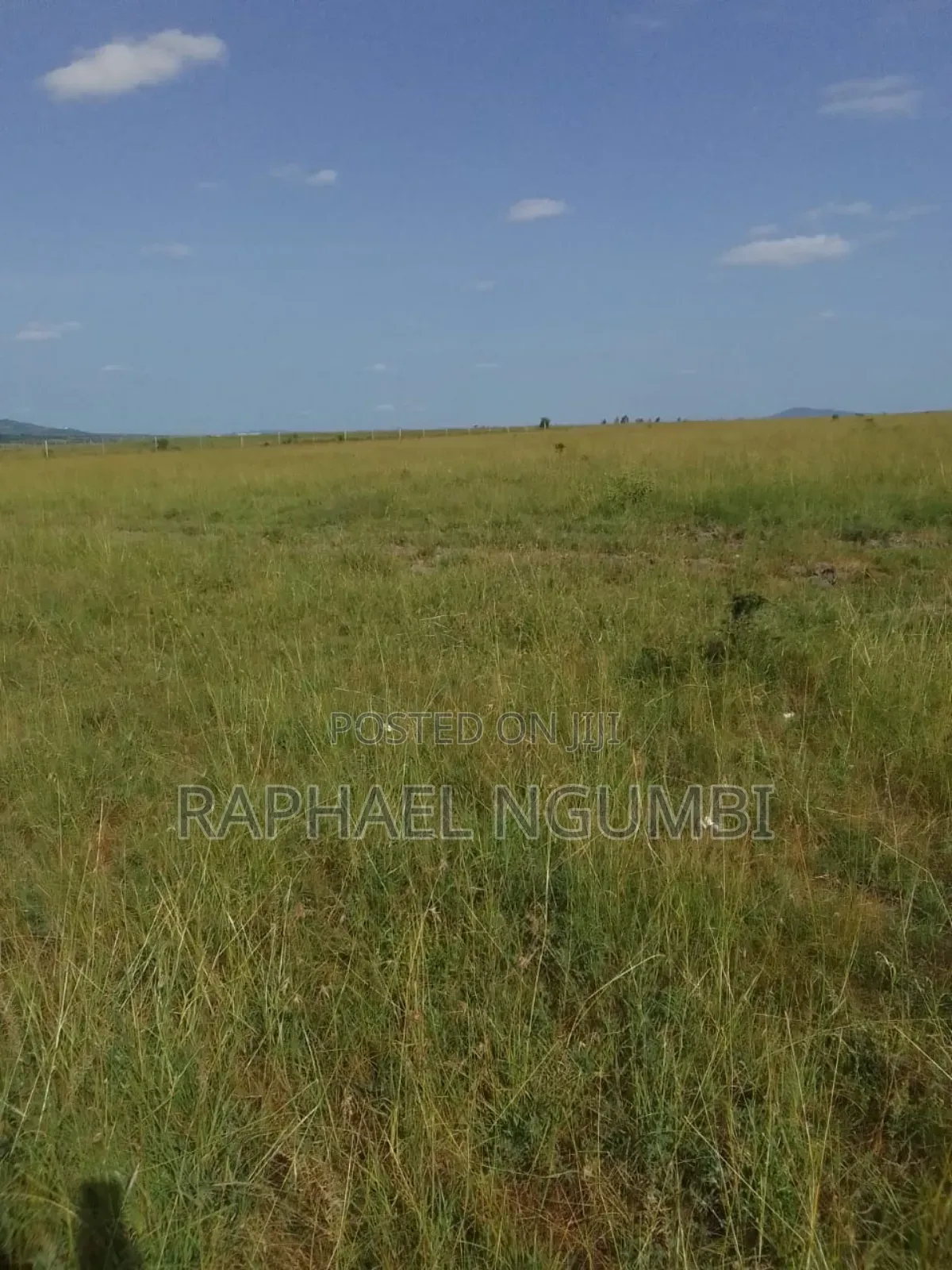100 Acres at Daystar University