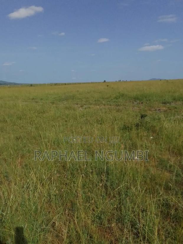 100 Acres at Daystar University - thumbnail 7