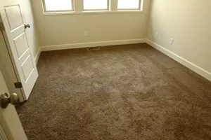 Delta Wall to Wall Carpet Transforming Floors Into Art