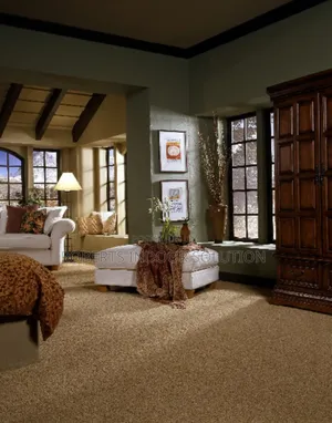 Delta Wall to Wall Carpet Transforming Floors Into Art