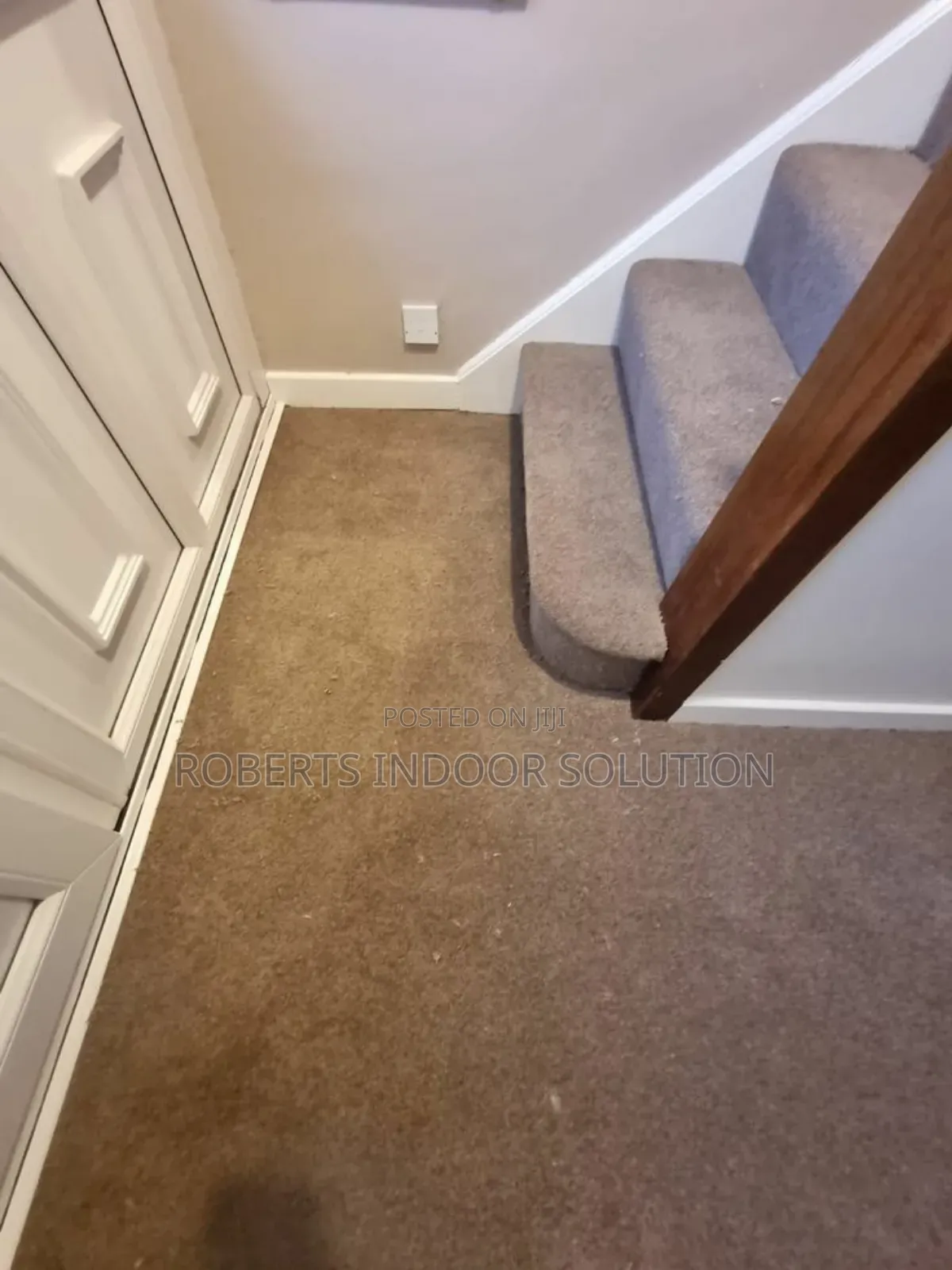 Delta Carpet Available  Stepping Into Cozy Paradise