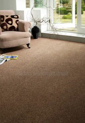 With Wall to Wall Delta Carpet Makes a Statement