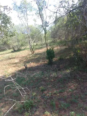 100 Acres At Kitui Mutomo Mutha