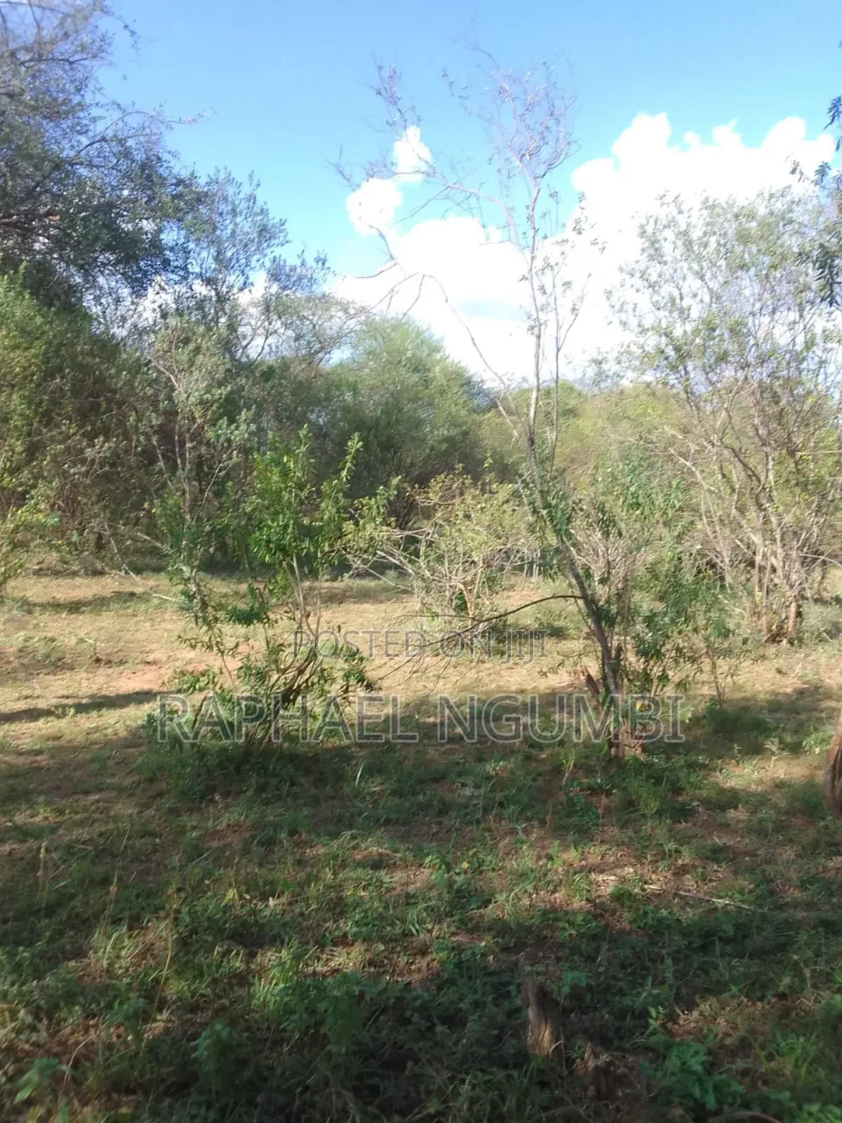 100 Acres At Kitui Mutomo Mutha
