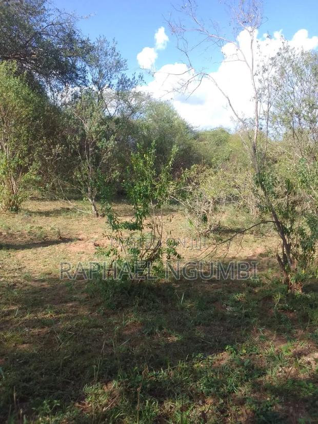 100 Acres At Kitui Mutomo Mutha - thumbnail 4