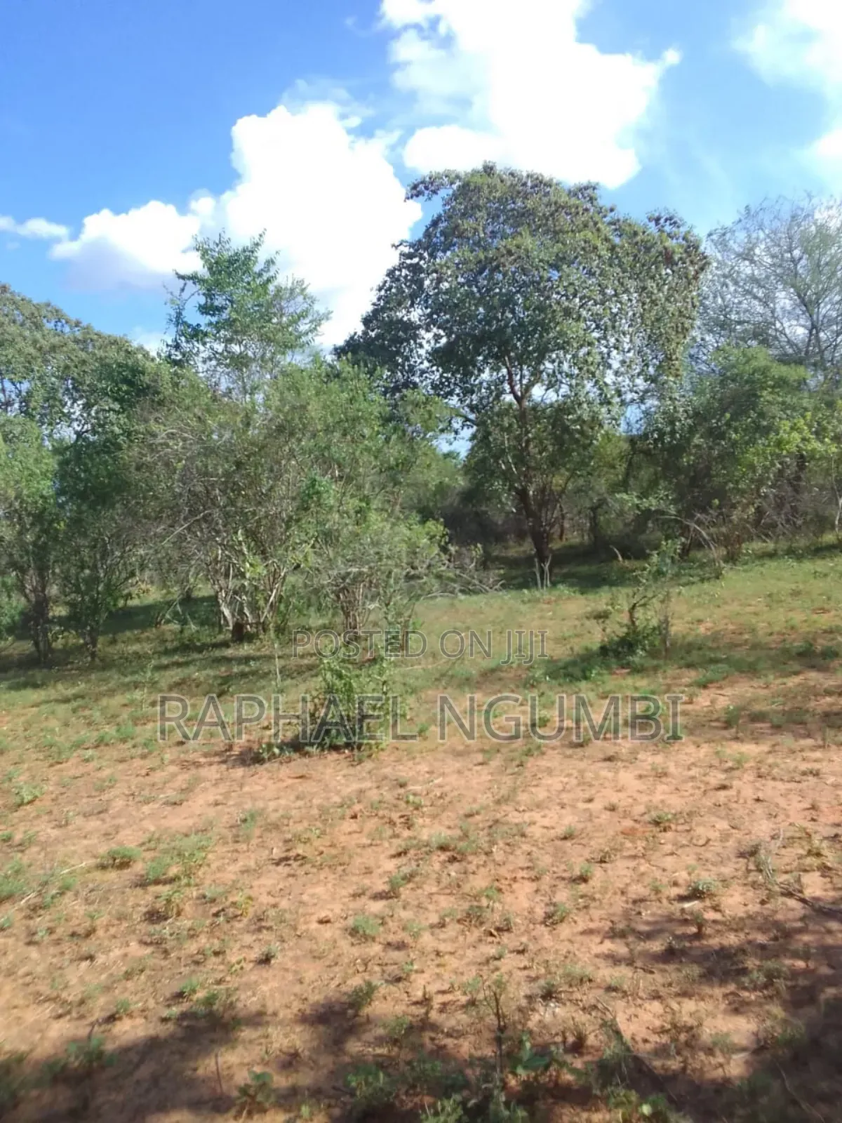 100 Acres At Kitui Mutomo Mutha