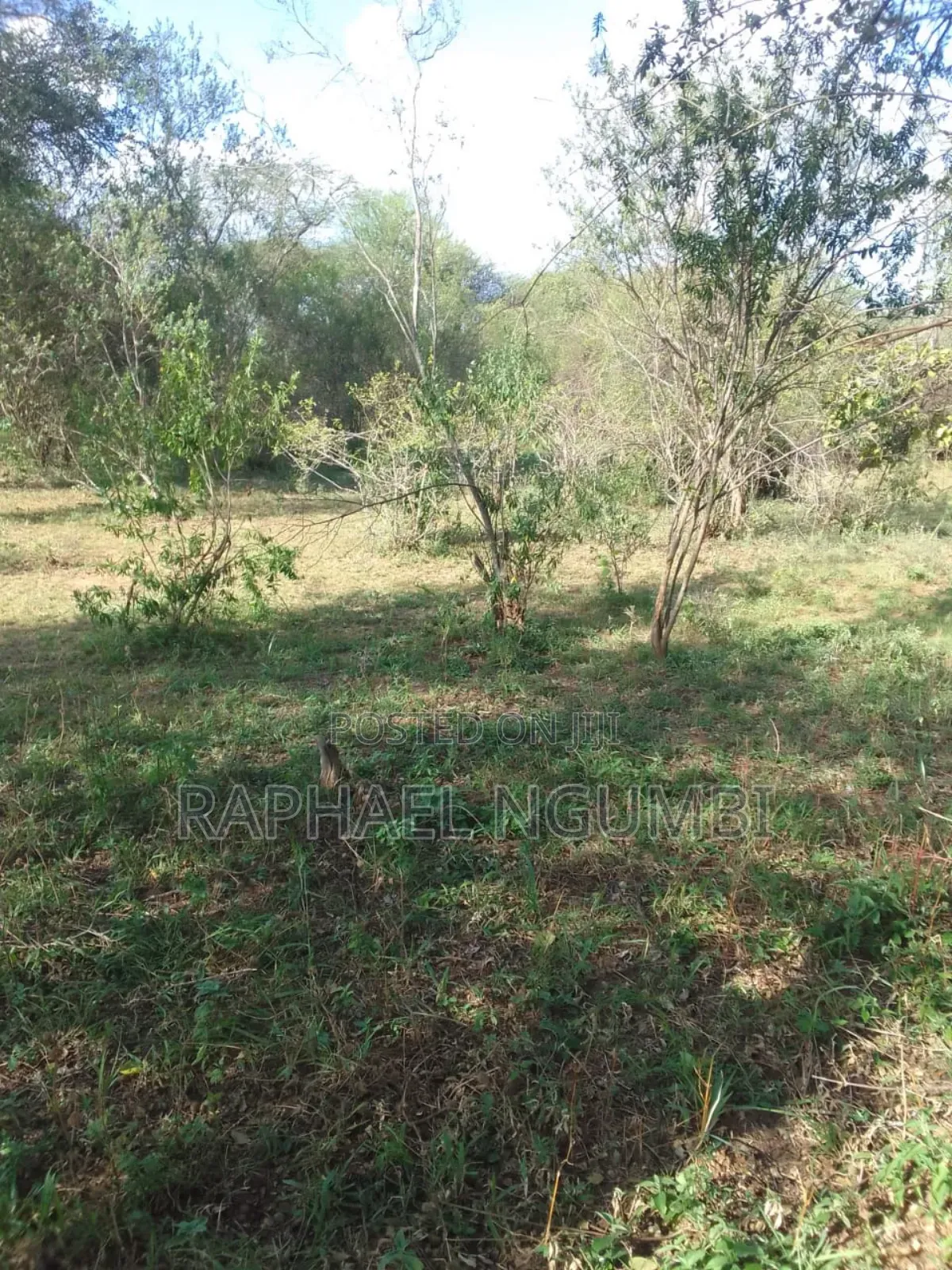 100 Acres At Kitui Mutomo Mutha