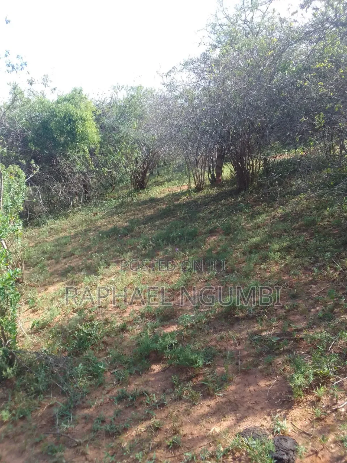 100 Acres At Kitui Mutomo Mutha
