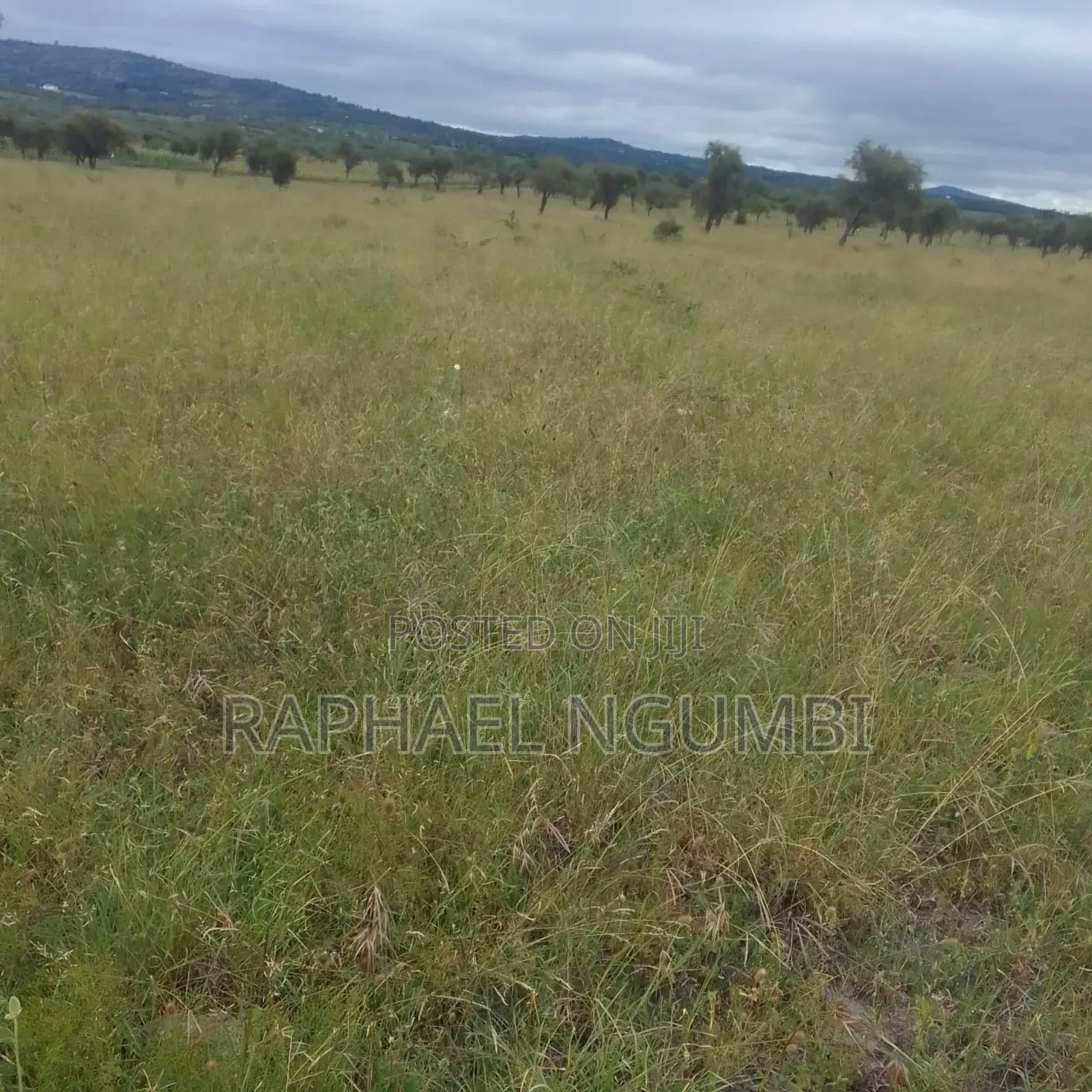 2,000 Acres at Athi River Lukenya Stone Athi