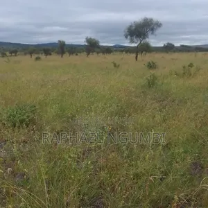 2,000 Acres at Athi River Lukenya Stone Athi