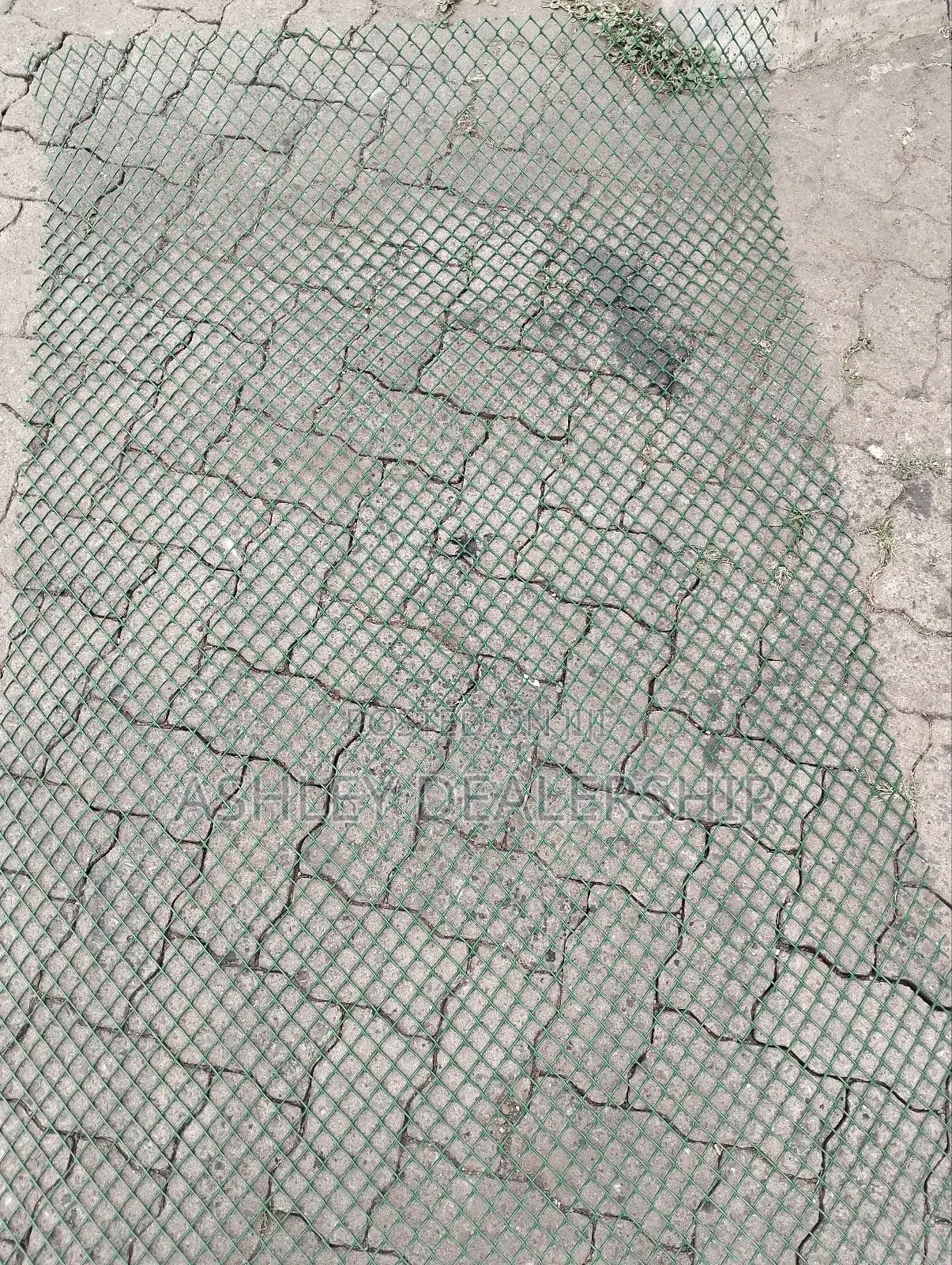 Poultry Net