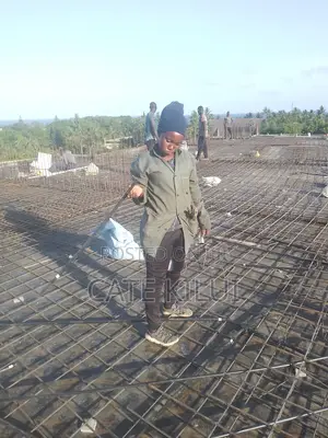 Construction Skilled Trade CV
