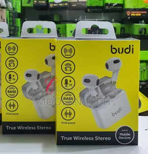 Budi Ep17w True Wireless Stereo Earbuds