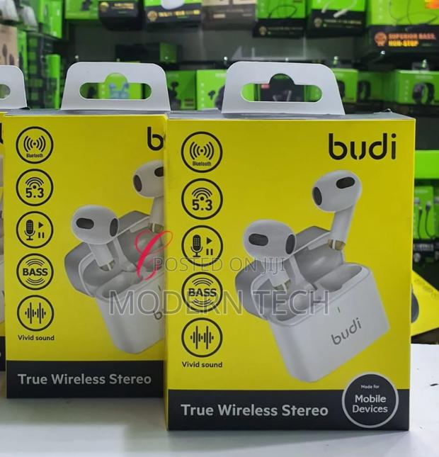 Budi Ep17w True Wireless Stereo Earbuds - main view