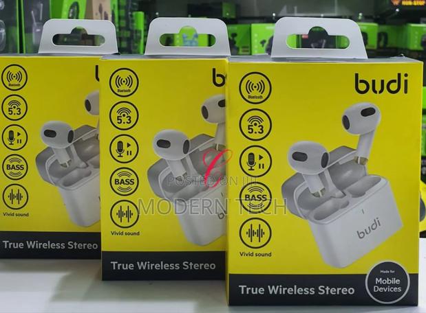 Budi True Wireless Stereo - main view