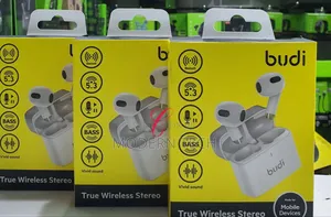 Budi Ep17w True Wireless Stereo Earbuds 