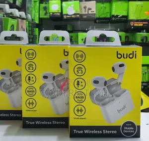 Budi Ep17w True Stereo Earbuds