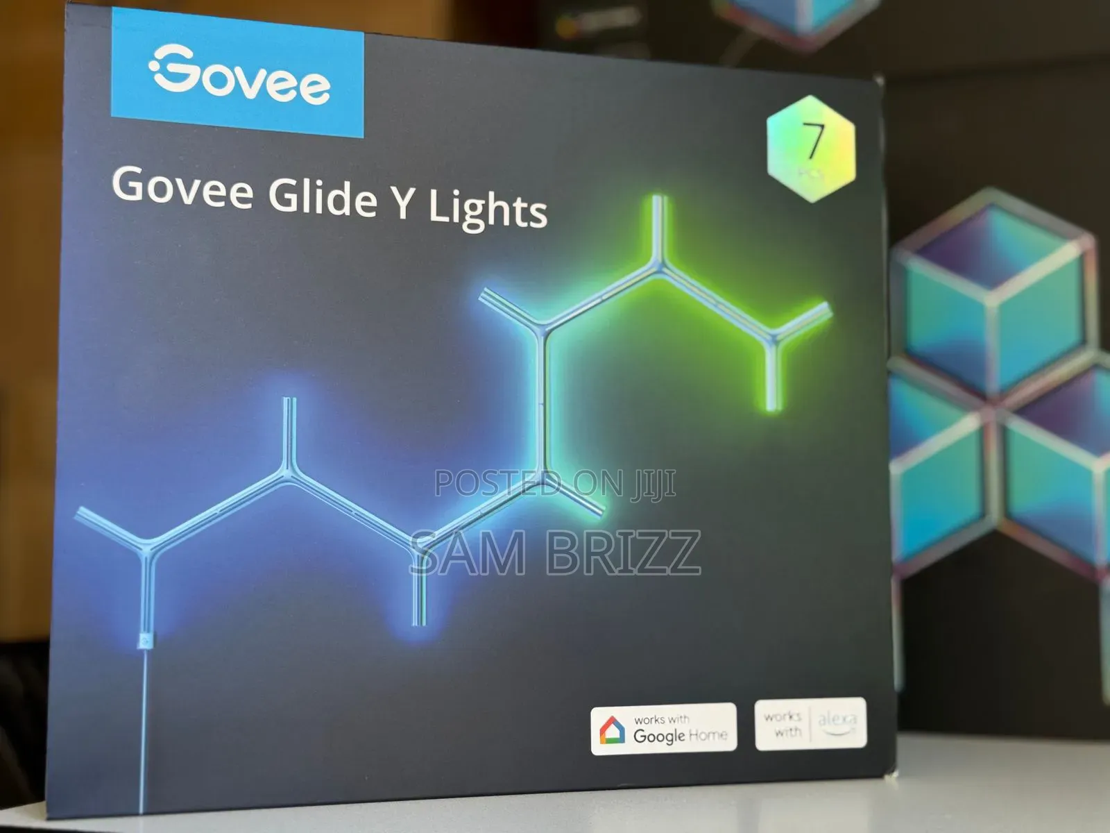 Govee Glid Y Lights