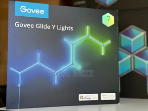 Govee Glid Y Lights