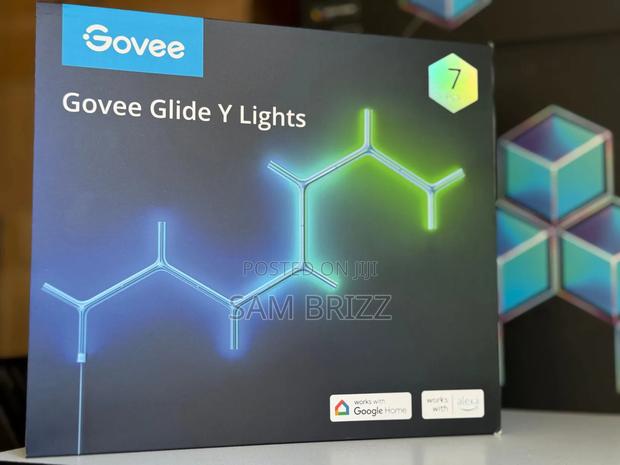 Govee Glid Y Lights