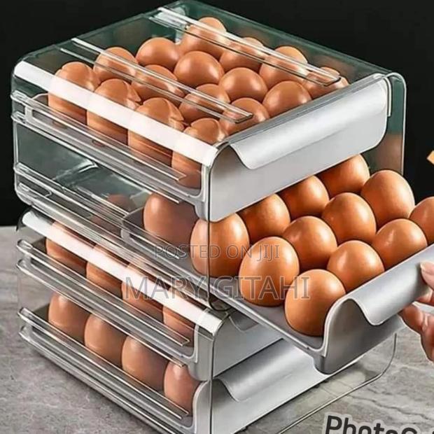 Egg Holder White Colour