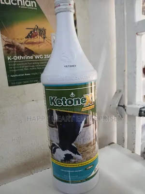 Ketonex 1litre