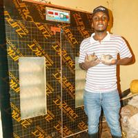 Telechicks Enterprises LTD logo