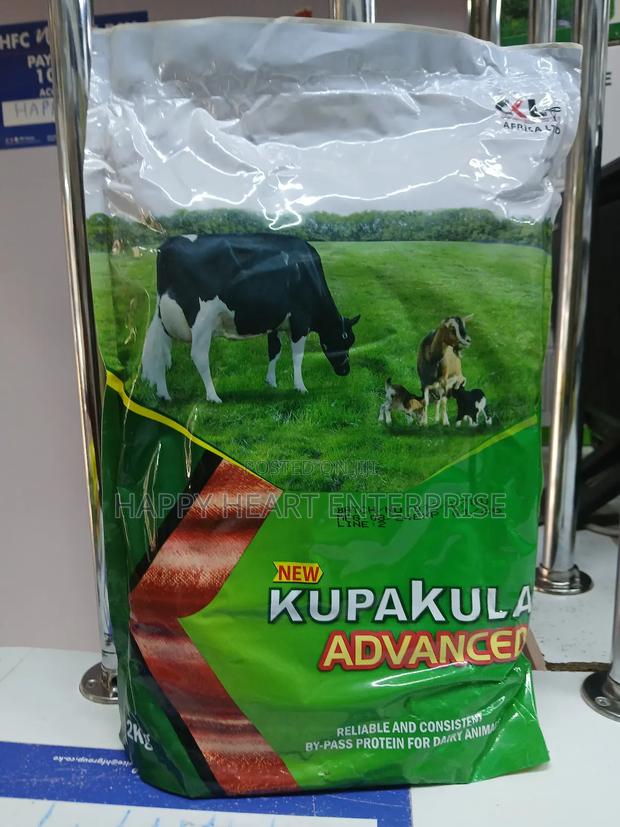 Kupa Kula Advanced 2kgs - thumbnail 3