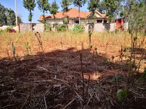 100x100 Plot in Ondiri Kikuyu Kiambu County for Sale.