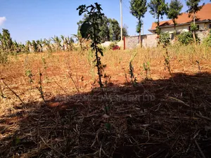 100x100 Plot in Ondiri Kikuyu Kiambu County for Sale.