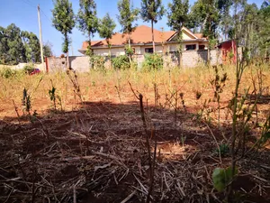 100x100 Plot in Ondiri Kikuyu Kiambu County for Sale.
