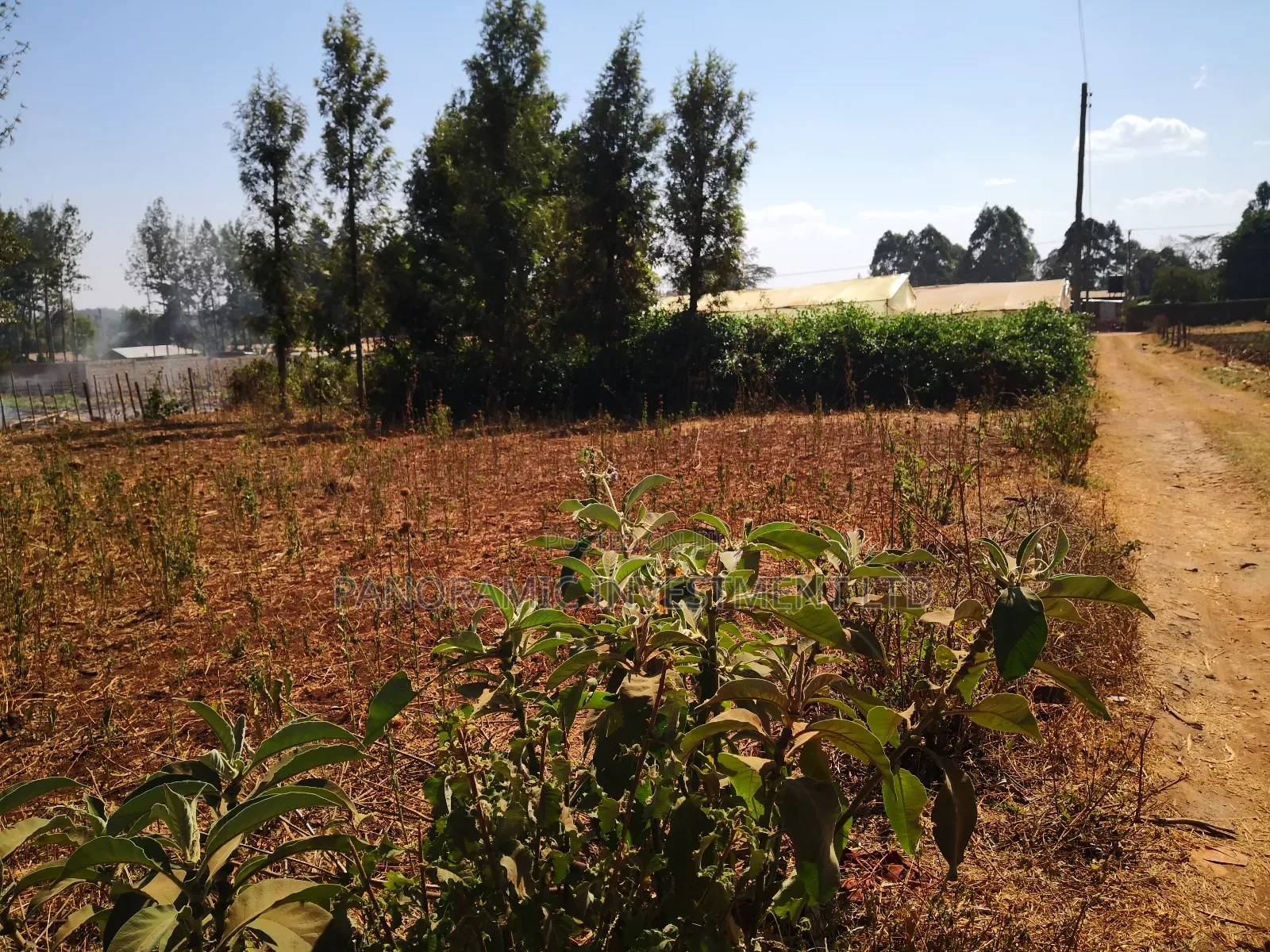 100x100 Plot in Ondiri Kikuyu Kiambu County for Sale.