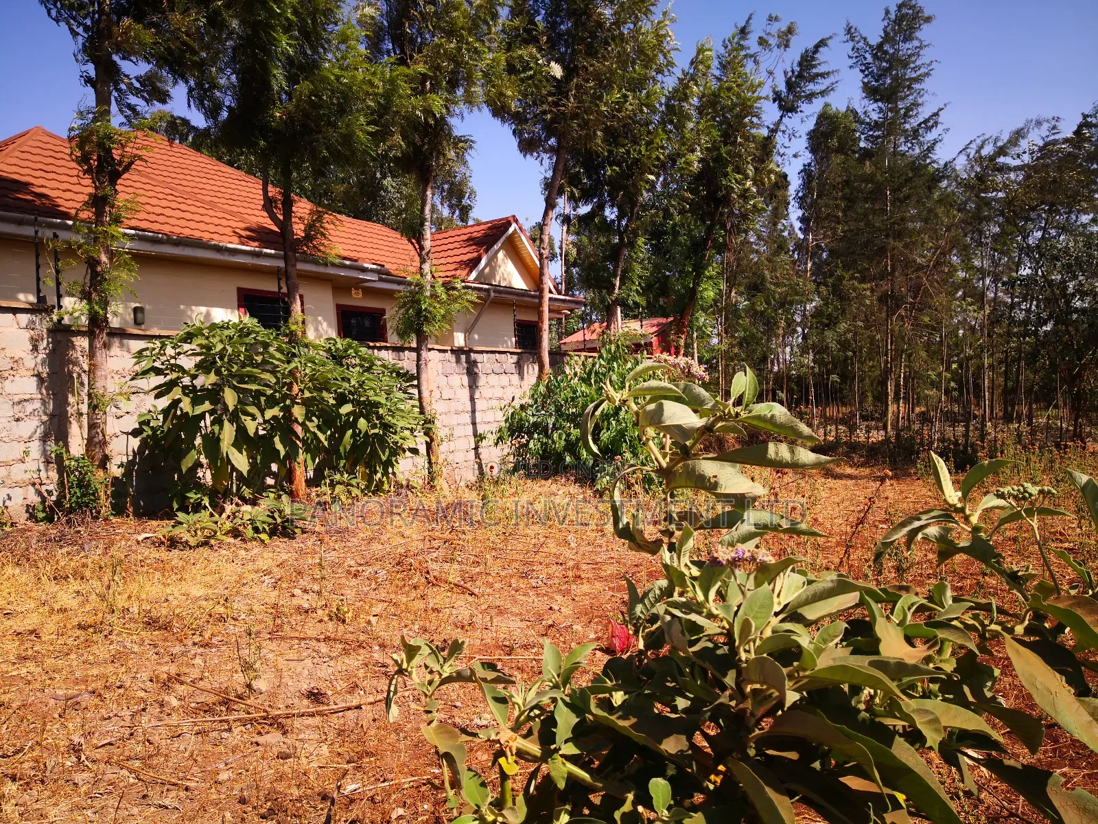 100x100 Plot in Ondiri Kikuyu Kiambu County for Sale.