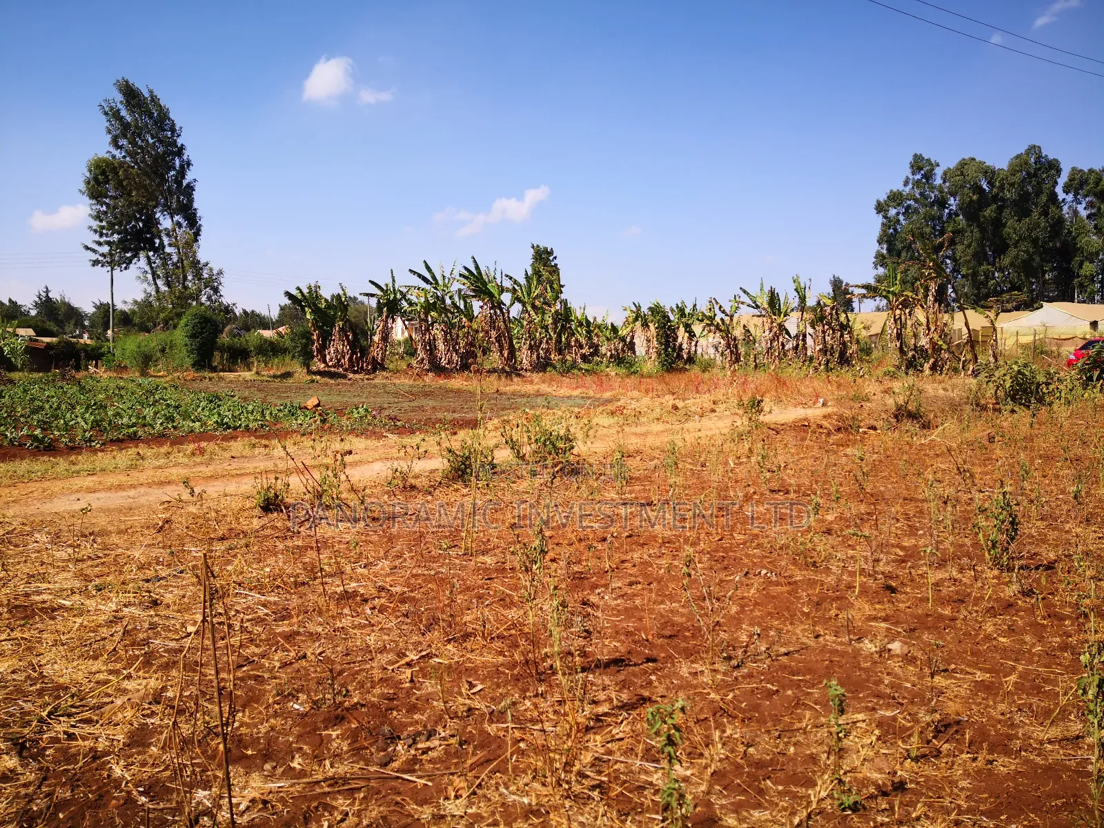 100x100 Plot in Ondiri Kikuyu Kiambu County for Sale.