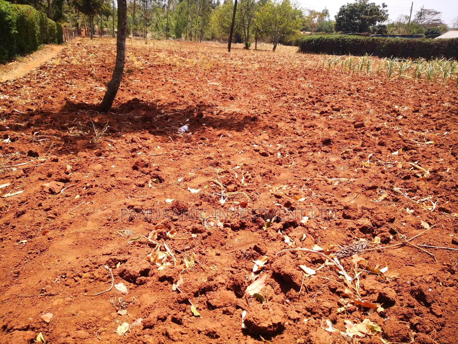 100x100 Plot in Ondiri Kikuyu Kiambu County for Sale.