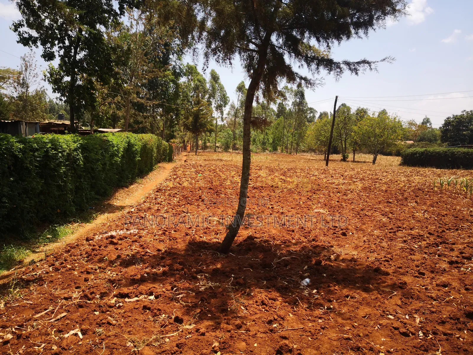 100x100 Plot in Ondiri Kikuyu Kiambu County for Sale.