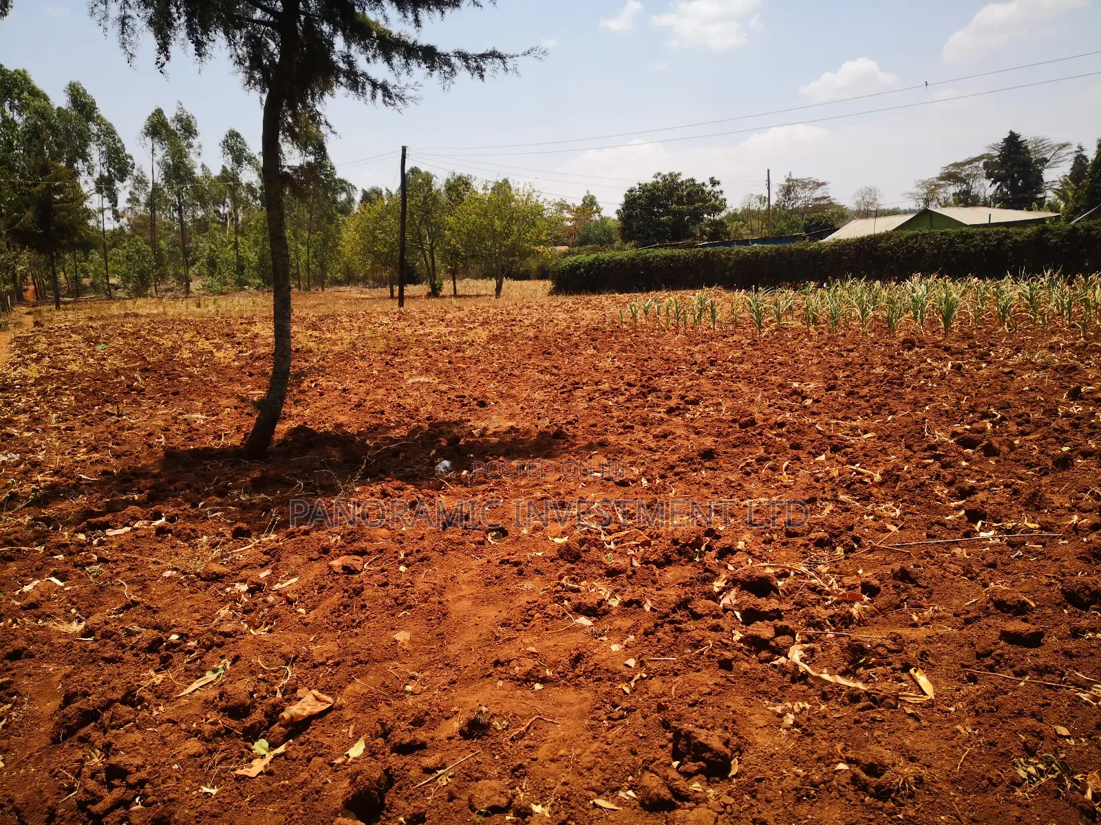 100x100 Plot in Ondiri Kikuyu Kiambu County for Sale.