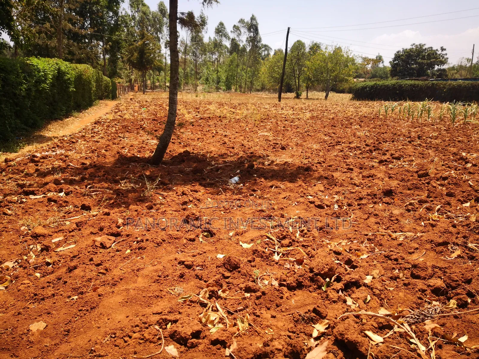 100x100 Plot in Ondiri Kikuyu Kiambu County for Sale.