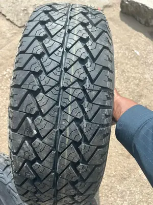 225/65r17 Petromax