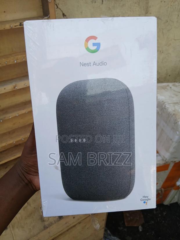 Google Nest Audio - main view