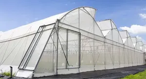 Insects Net