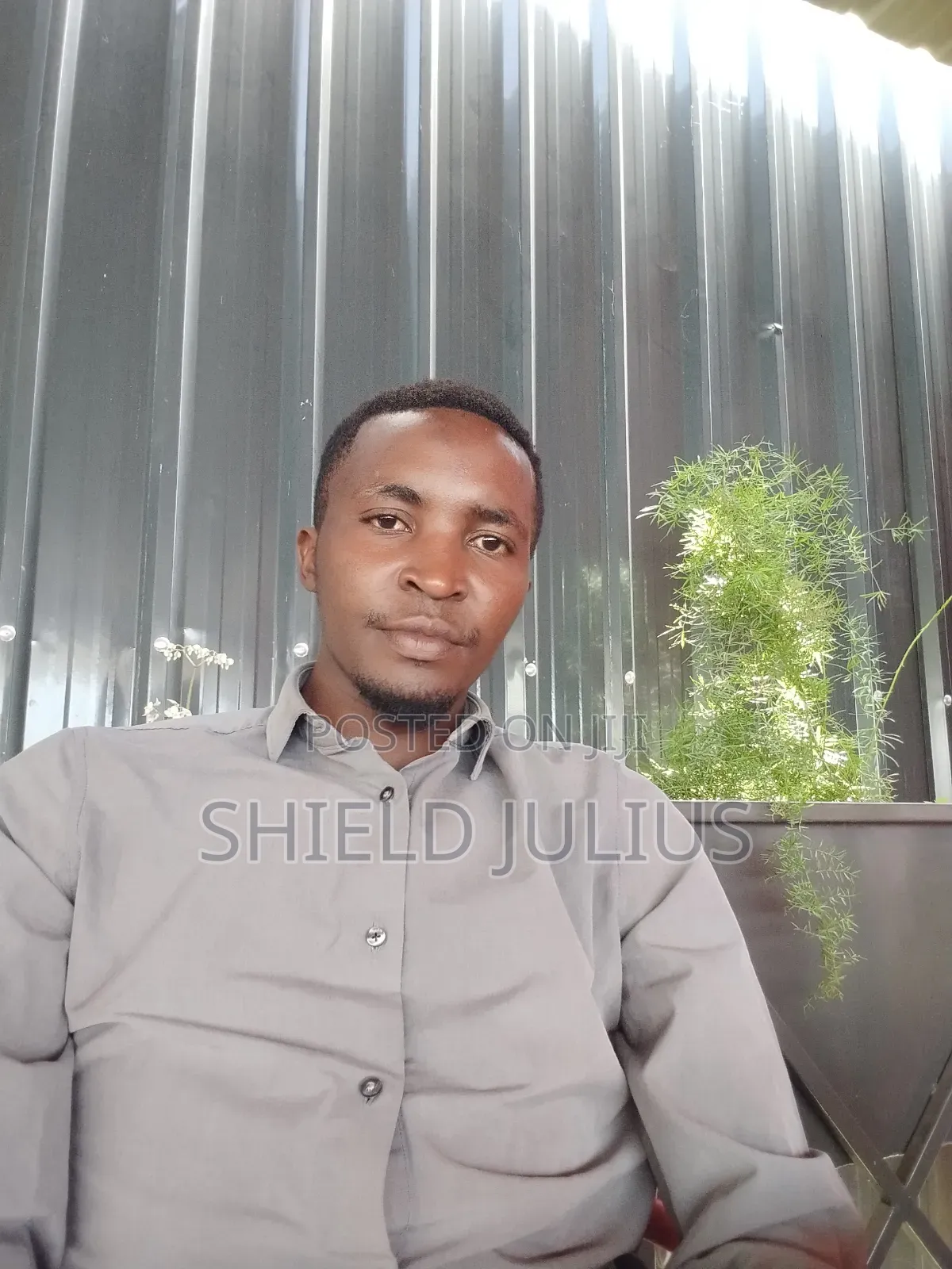 Engineer Ngao