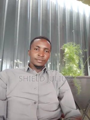 Engineer Ngao