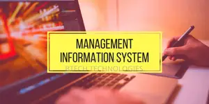 Custom Information System