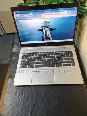 Laptop HP EliteBook 745 G6 16GB AMD Ryzen 5 SSD 256GB